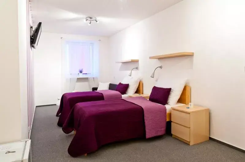 Photo 4 of Hotel Berger